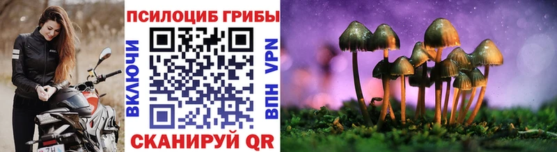 Галлюциногенные грибы GOLDEN TEACHER  Купить закладки  Люберцы 